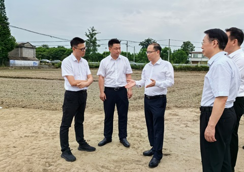 胡云赴眉山调研耕地；；；な褂煤透弑曜寂┨锝ㄉ枋虑