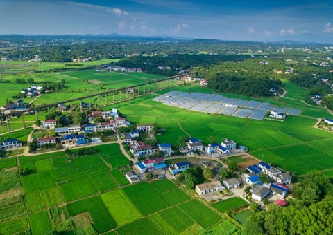 湖南：靶向发力盘活存量土地资产<br>为206家机关企事业单位定制处理方案，，盘活土地2.6万亩