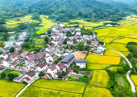 安徽省自然资源厅：130个州里耕地保唬；ばЧ怀 获赔偿激励1.3亿元