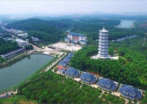 湖北：用好“一张图” ，，智治有支持